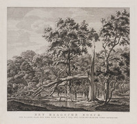 KG 07733
<br/>
Door bliksem getroffen boom in Haagse Bos
<br/>
<em>Schwegman, Hendrik (1761-1816)</em>
